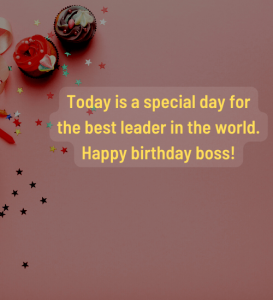 Professional Birthday Wishes: Show Your Respect