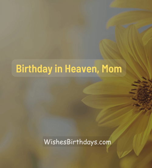 Birthday in Heaven, Mom