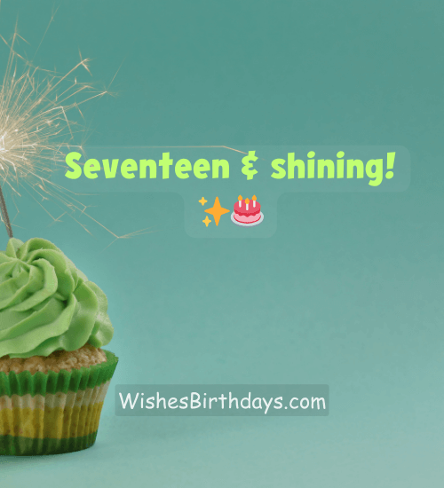 Seventeen & shining!
