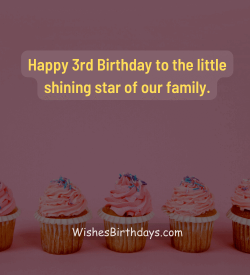 Happy 3rd Birthday to the little shining star of our family.