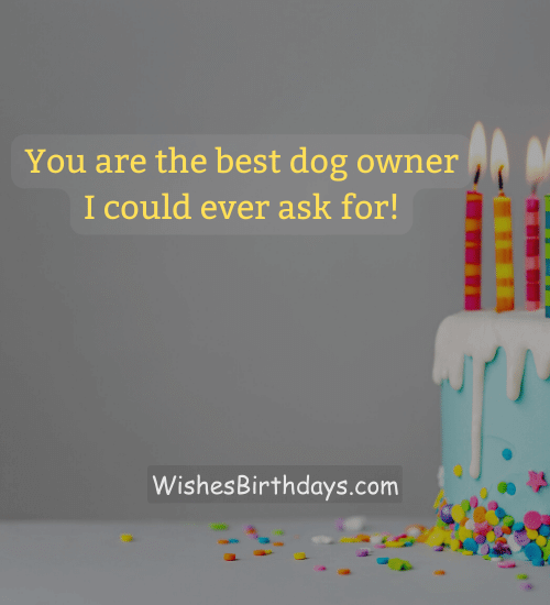 200+ Dog Birthday Wishes: Bark and Roll - WishesBirthdays