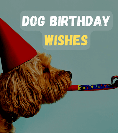dog-birthday-wishes