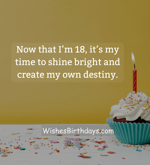 Now that I’m 18, it’s my time to shine bright and create my own destiny.