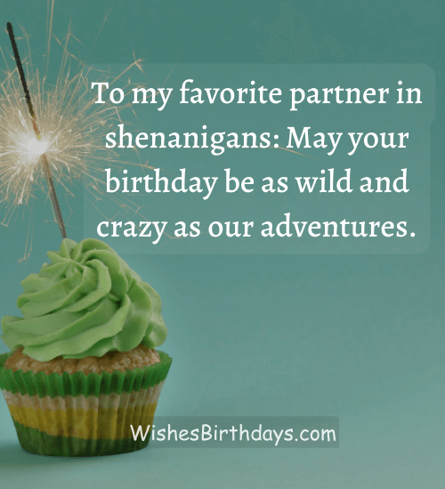 To my favorite partner in shenanigans: May your birthday be as wild and crazy as our adventures.